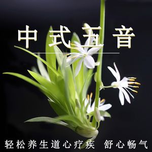 两人搞鸡网站
